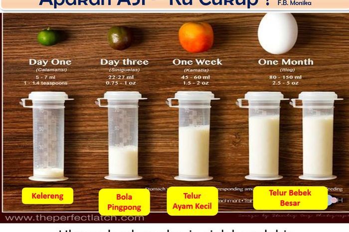 Panduan Kesehatan Harian, Langkah Sederhana untuk Tubuh Bugar