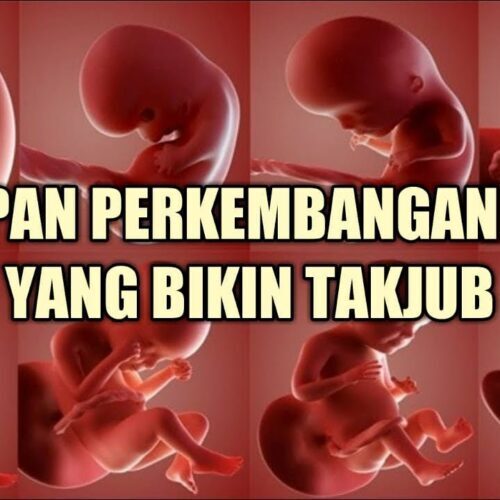 Perkembangan Berat Badan Janin dalam Kandungan - Primaya Hospital